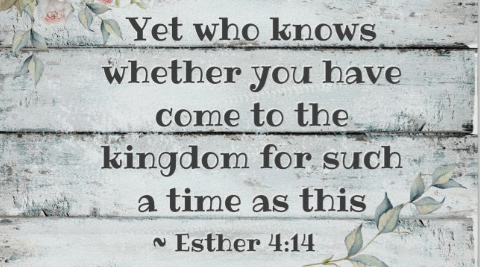 Screen Shot 2019-02-18 at 11.50.24 PM